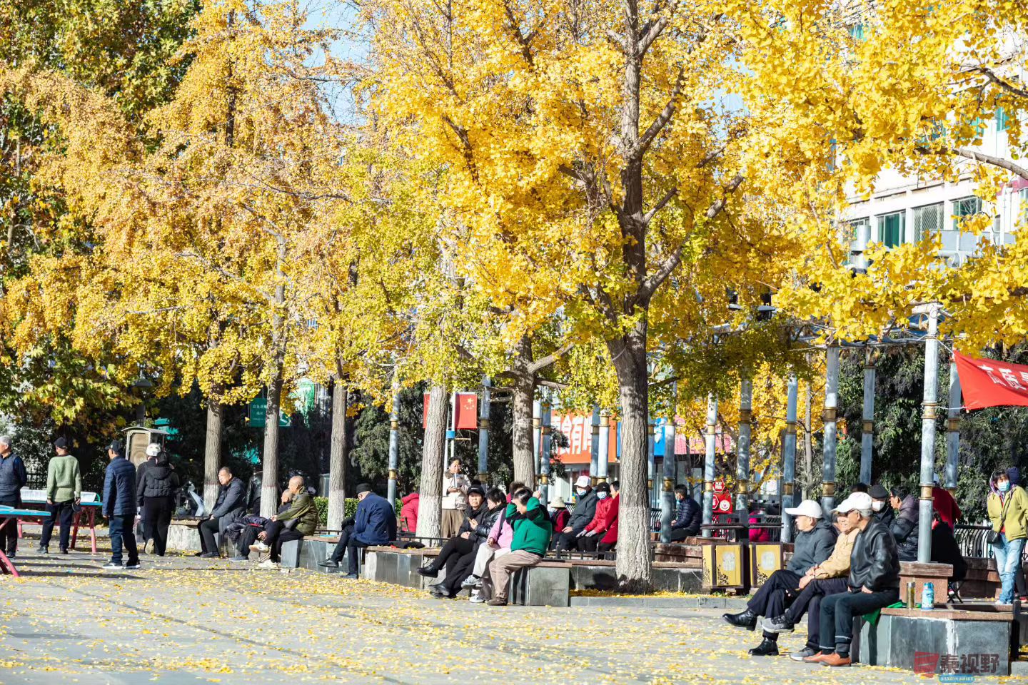 陈耀杰20251119 (3).jpg