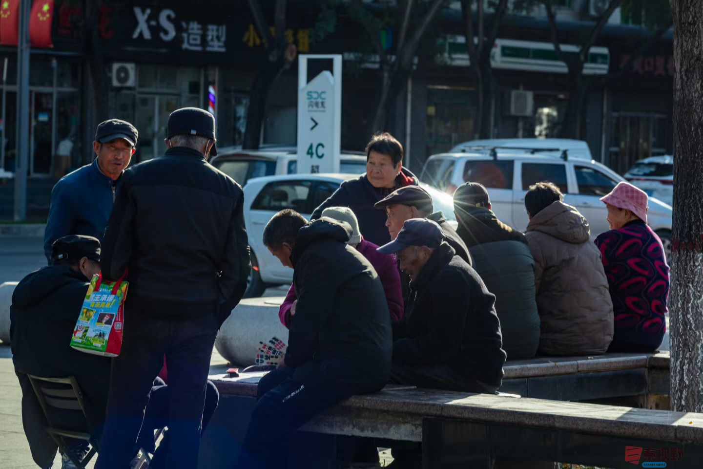 初冬街头随手拍【摄影陈耀杰】