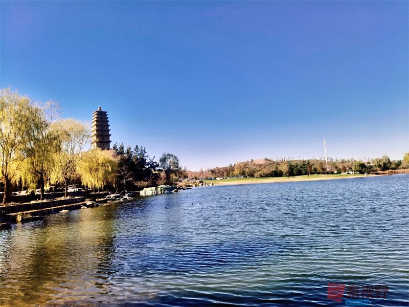 陕西鄠邑区渼陂湖胜景【摄影任周民 】