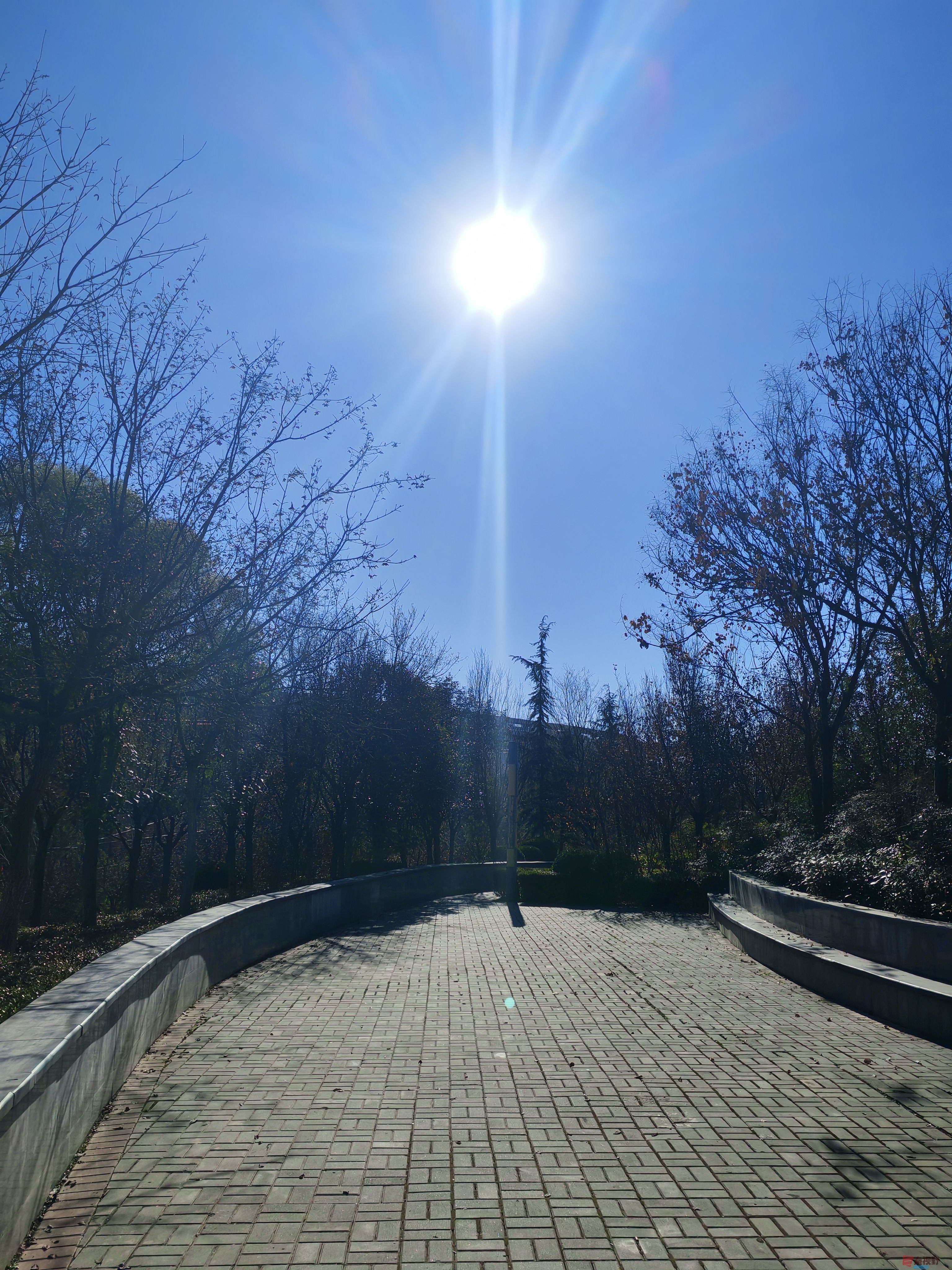 铜川王家河炭科沟公园的初冬【摄影周春辉】