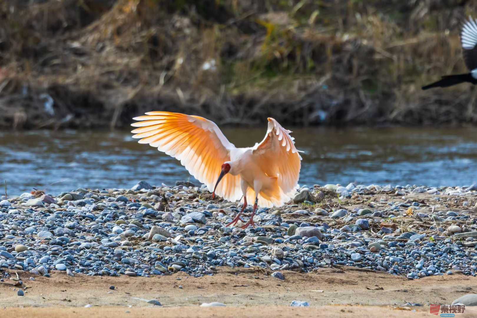 袁小保_2025-11-20_140033_861 (2).jpg