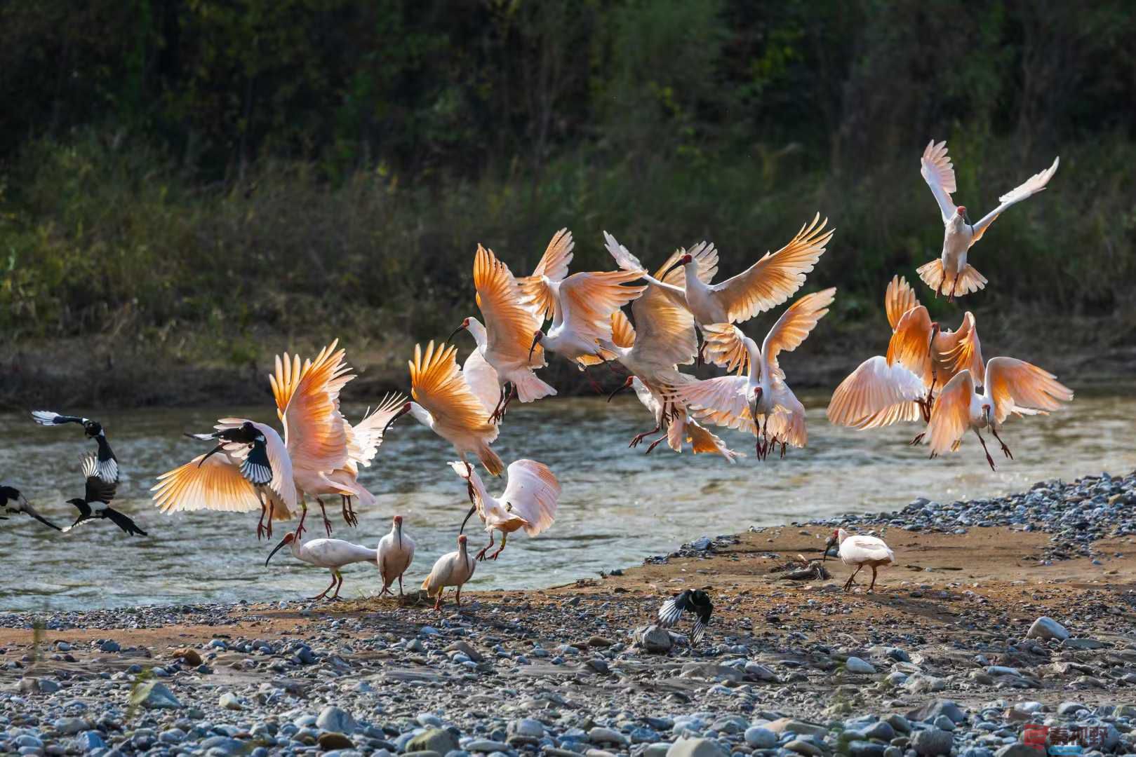 袁小保_2025-11-20_140033_861 (4).jpg