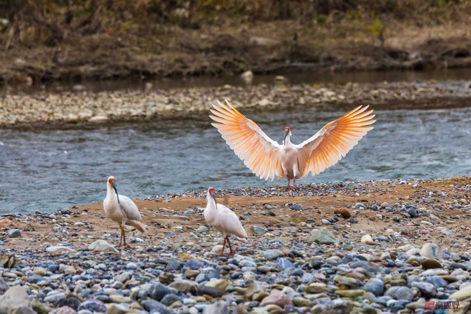 袁小保_2025-11-20_140033_861 (3).jpg