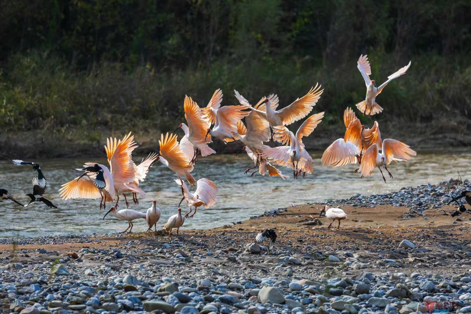 袁小保_2025-11-20_140033_861 (5).jpg