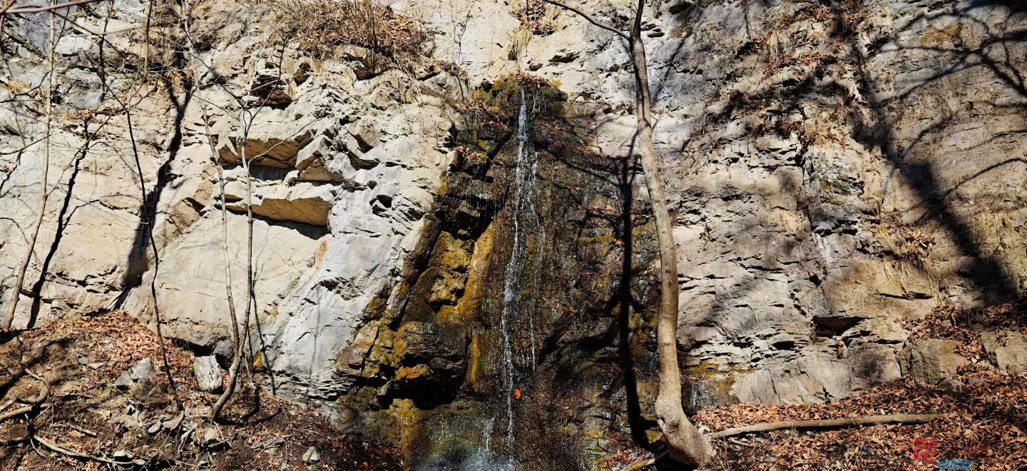 张兴20251120 (2).jpg