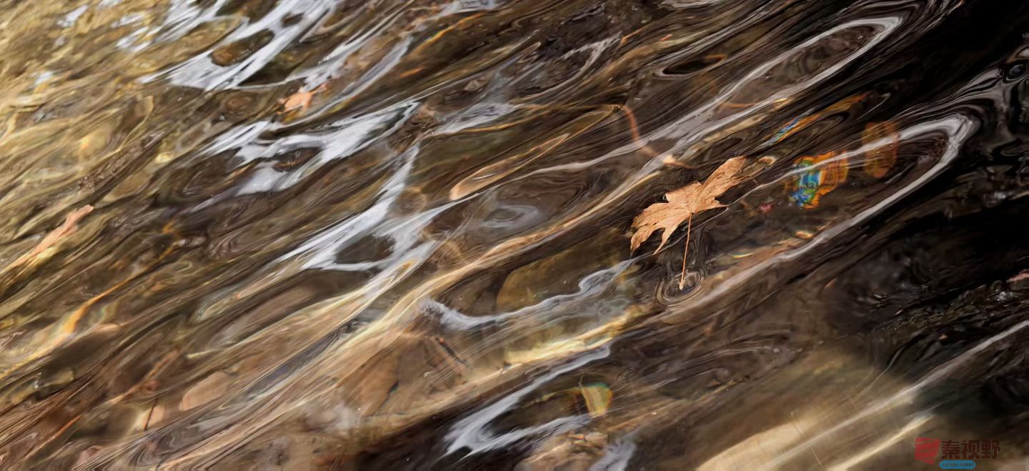 张兴20251120 (6).jpg