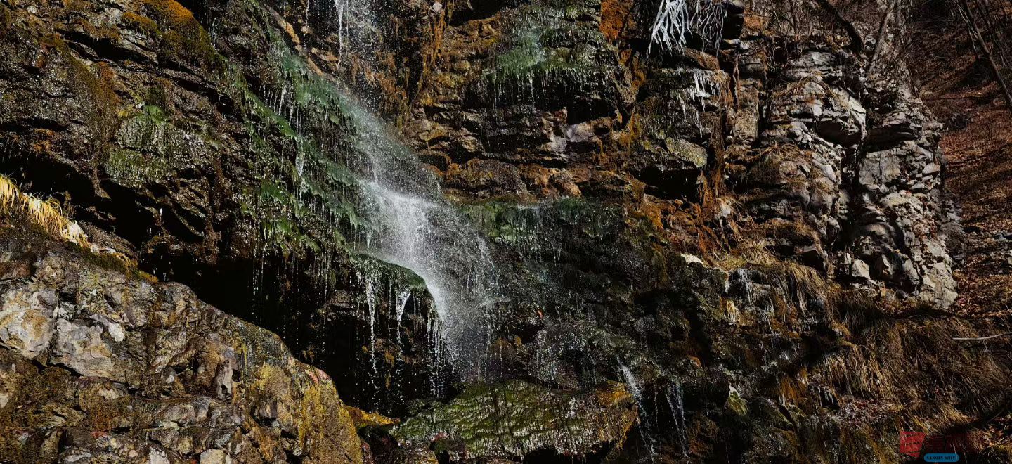 张兴20251120 (4).jpg