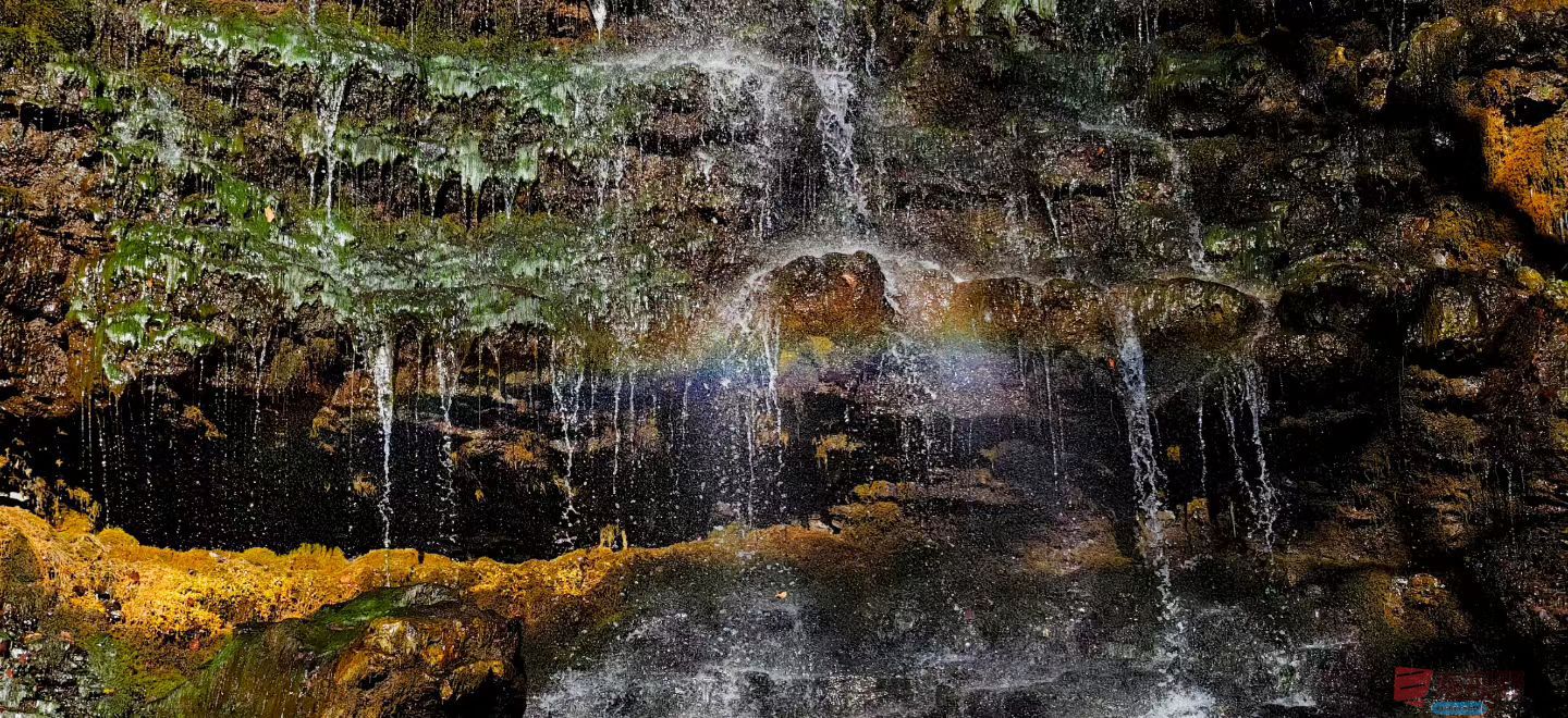 张兴20251120 (5).jpg