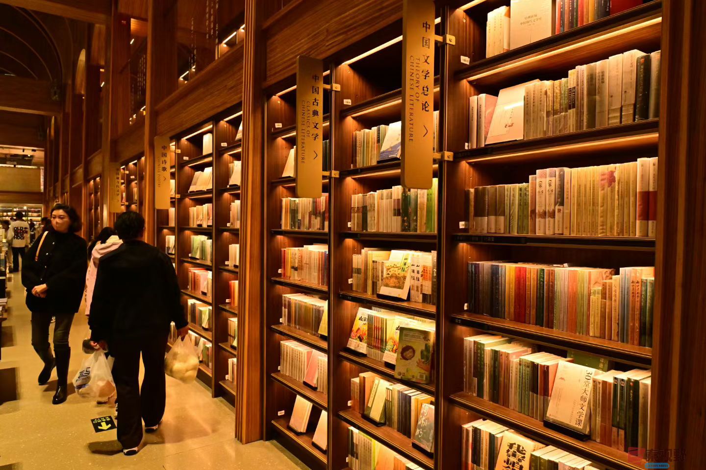 张高翔20251120 (5).jpg