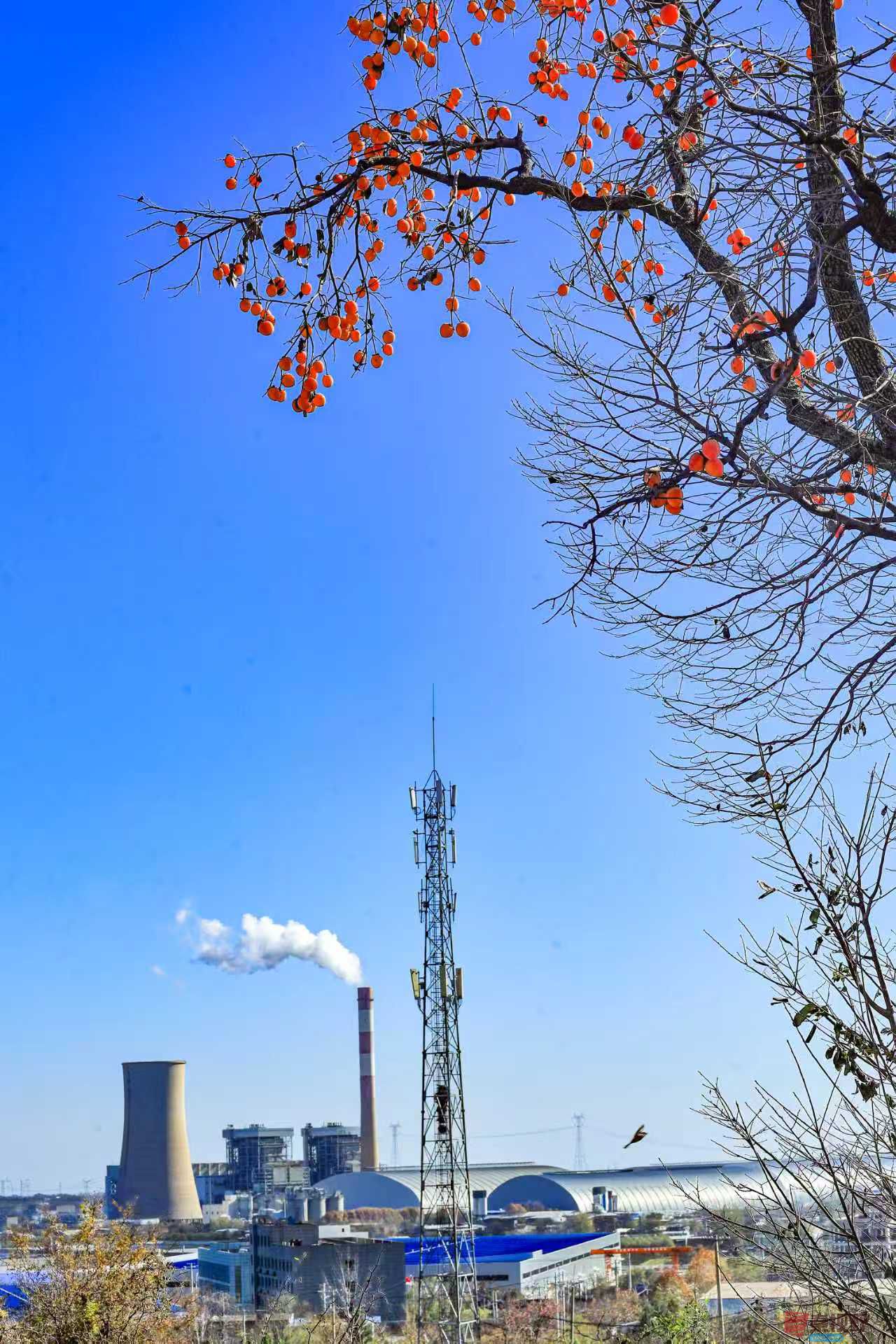 陈耀杰_20251120132032_3543_463 (2).jpg