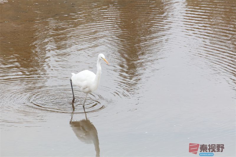 铜川的漆水河畔【摄影陈耀杰】
