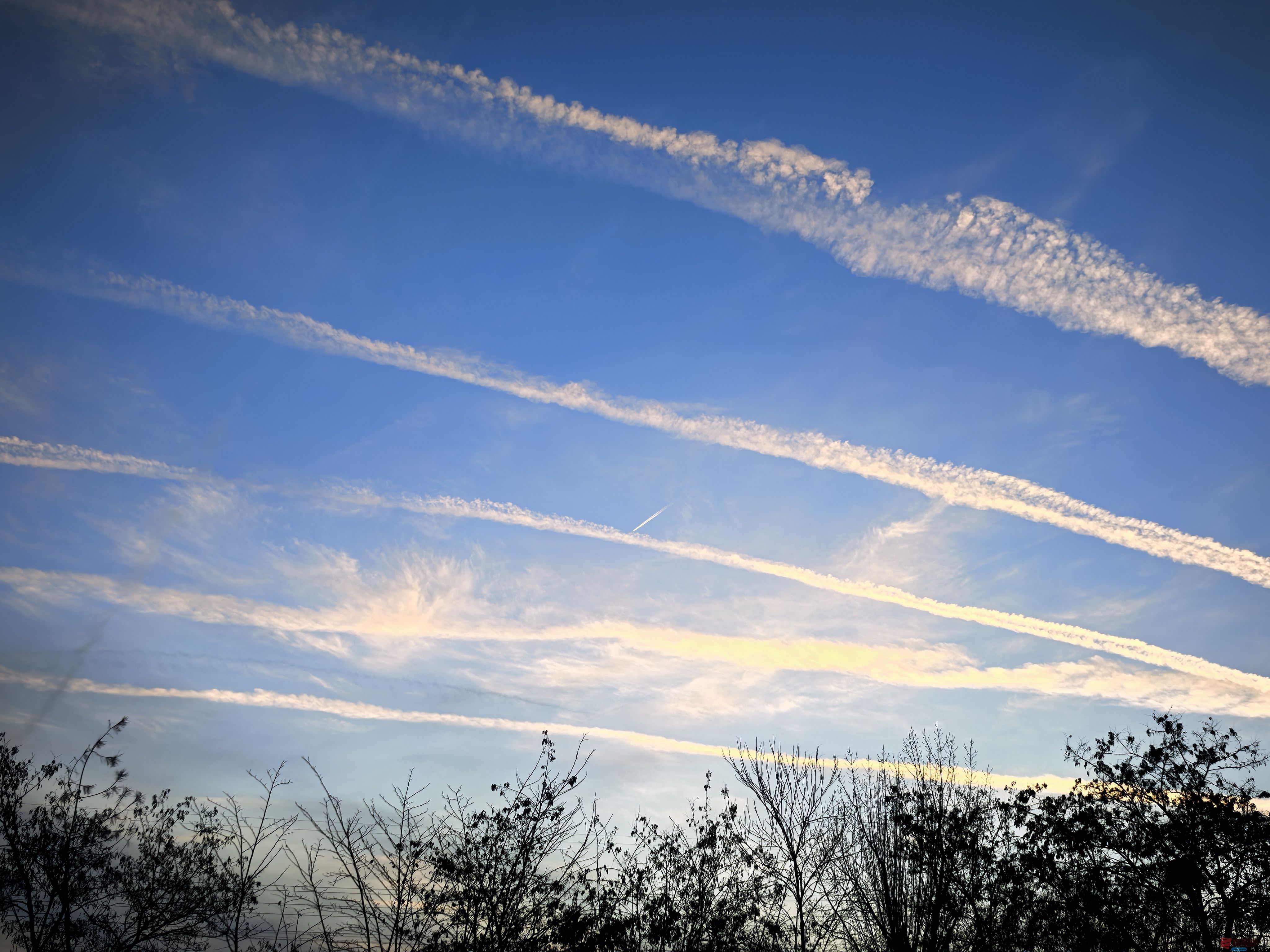 翱翔蓝天【摄影刘孝文】