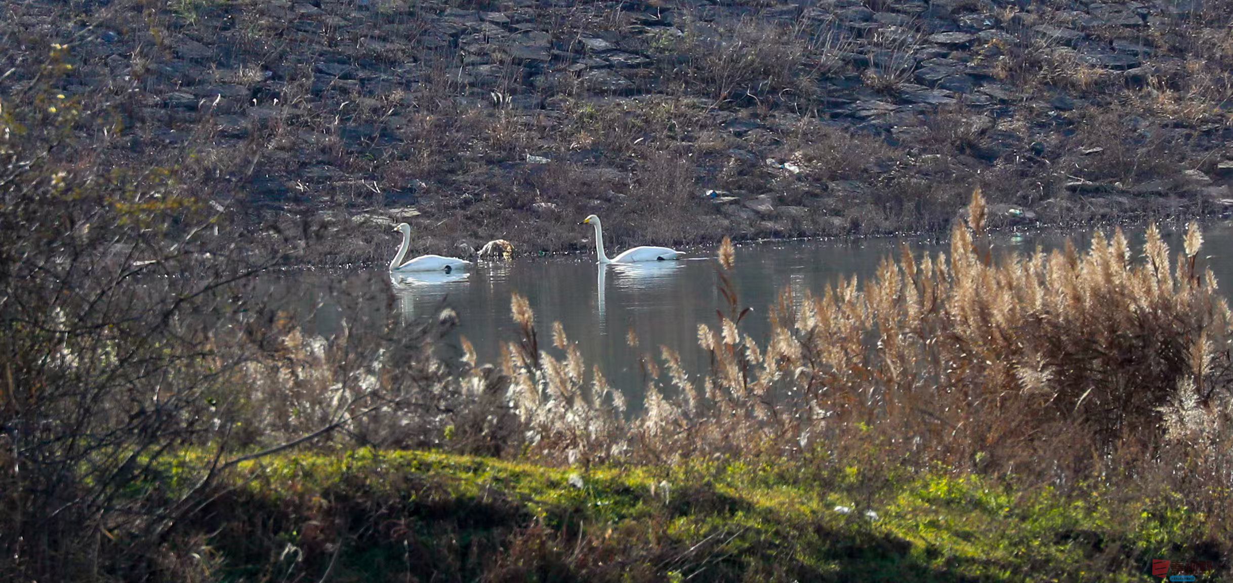 李雪平_20251120191211_550_47 (3).jpg