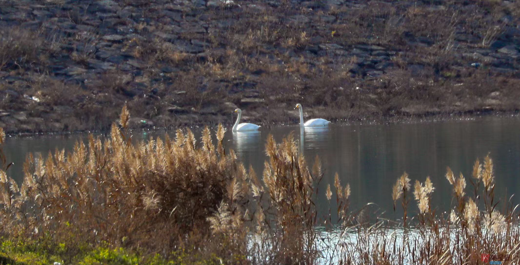 李雪平_20251120191211_550_47 (4).jpg