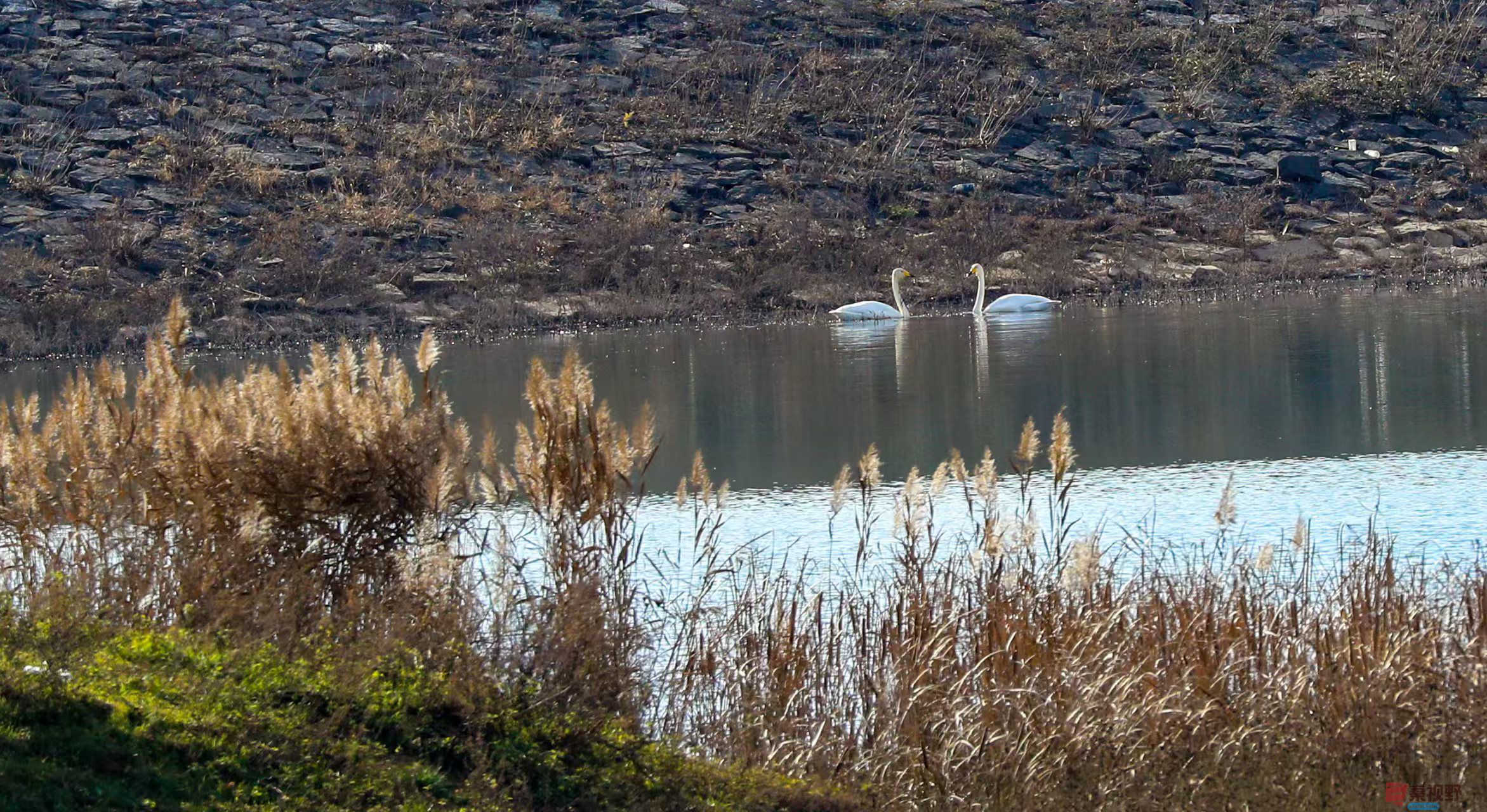 李雪平_20251120191211_550_47 (5).jpg