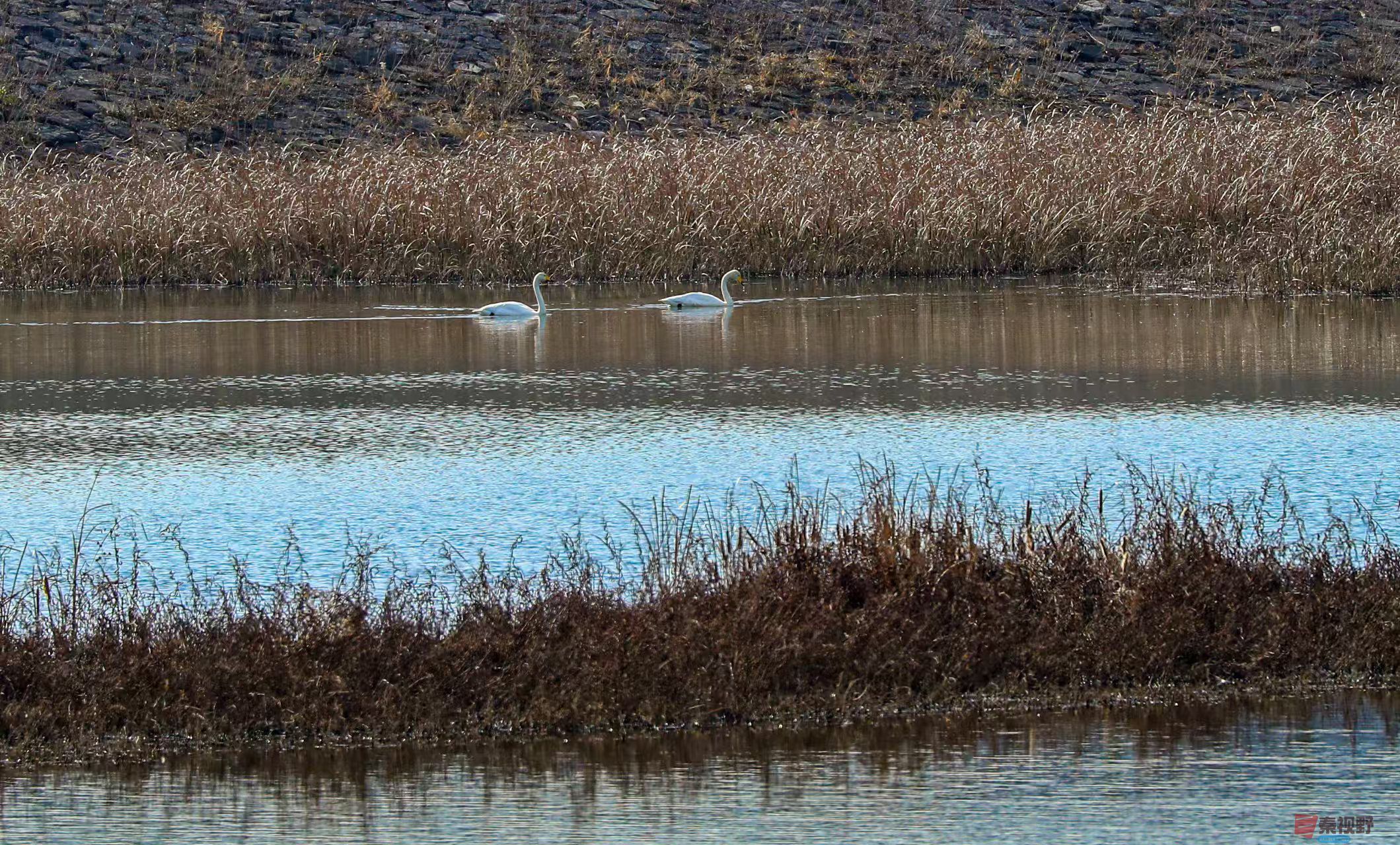 李雪平_20251120191211_550_47 (7).jpg