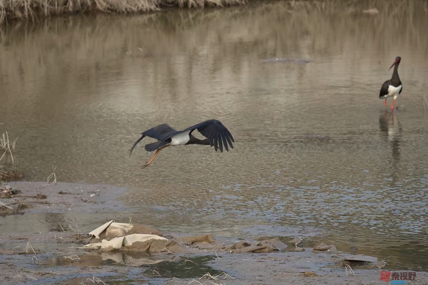 陈耀杰20251119 (2).jpg