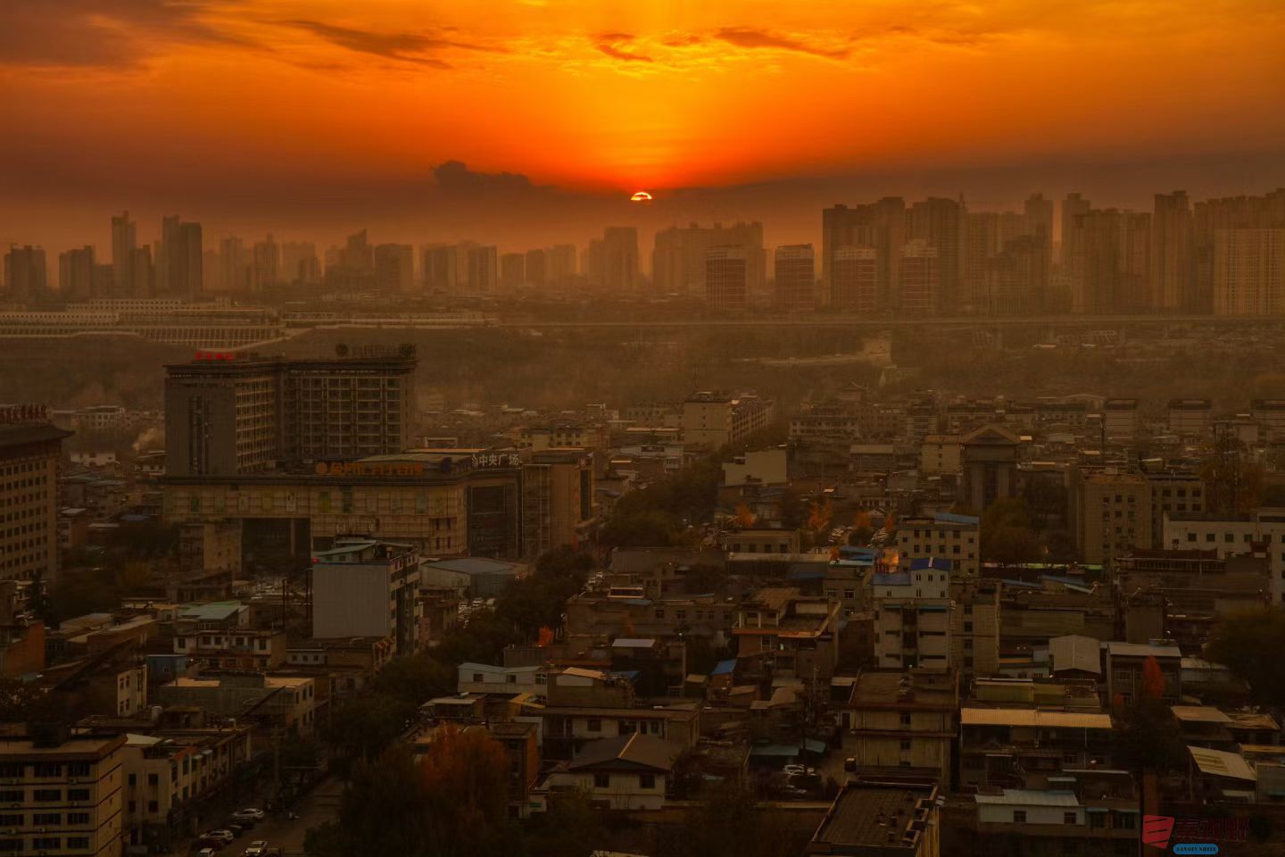 陈耀杰20251119 (5).jpg