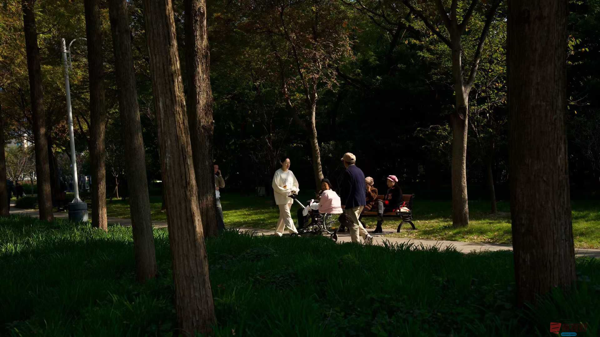 张巧玲_2025-11-21_112302_358 (1).jpg