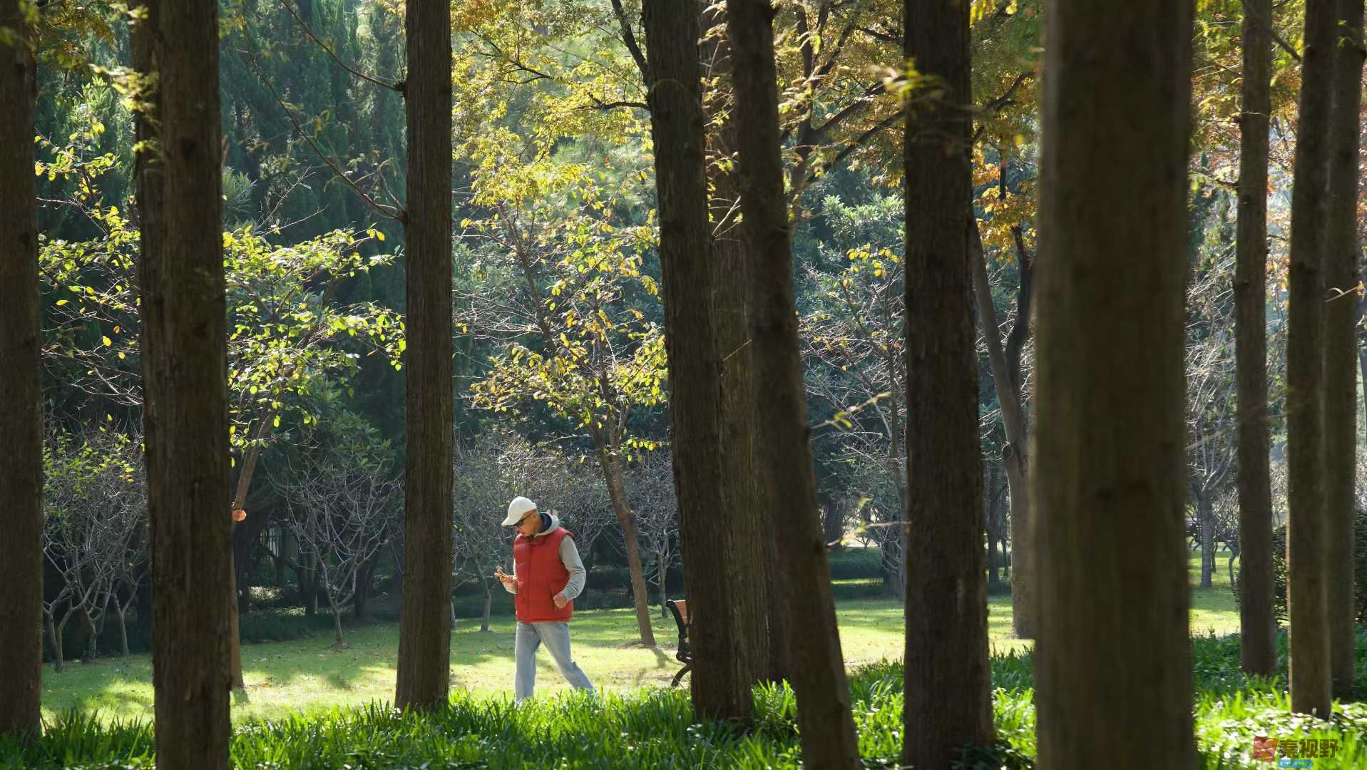 张巧玲_2025-11-21_112302_358 (4).jpg