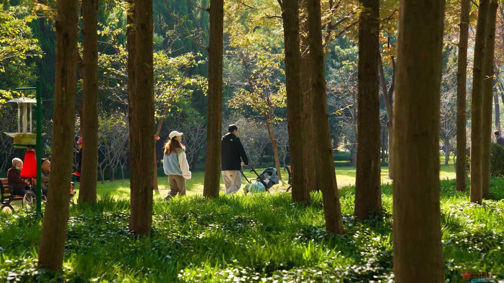 张巧玲_2025-11-21_112302_358 (5).jpg