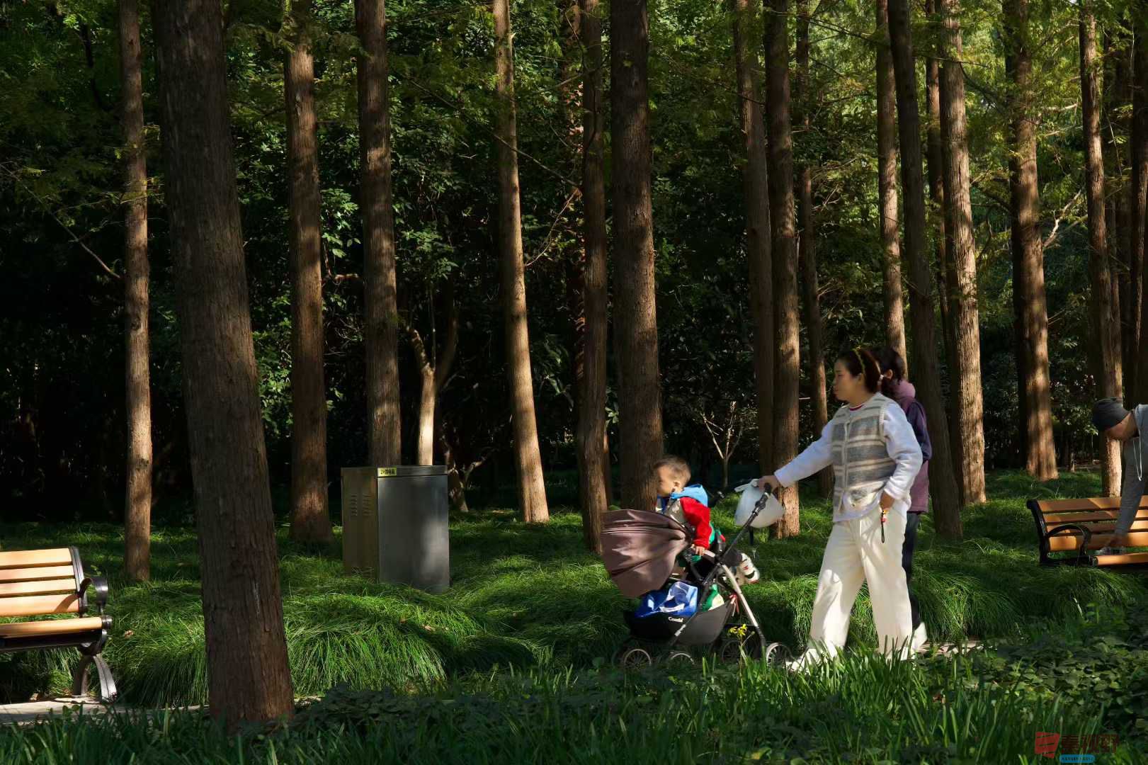 张巧玲_2025-11-21_112302_358 (7).jpg