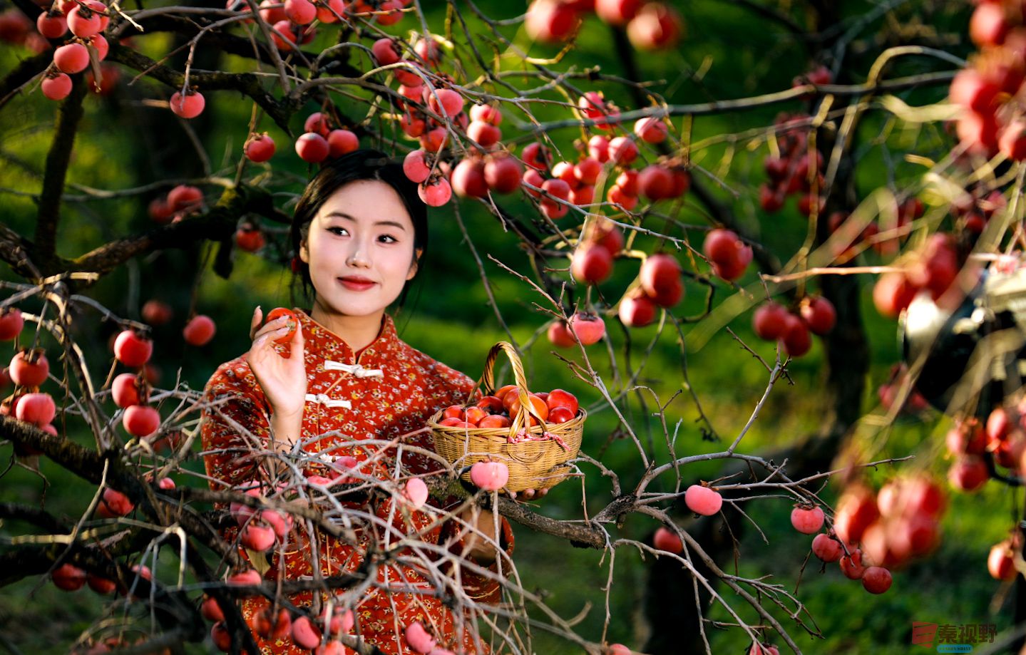 刘胜军_20251122164325_2510_104 (2).jpg