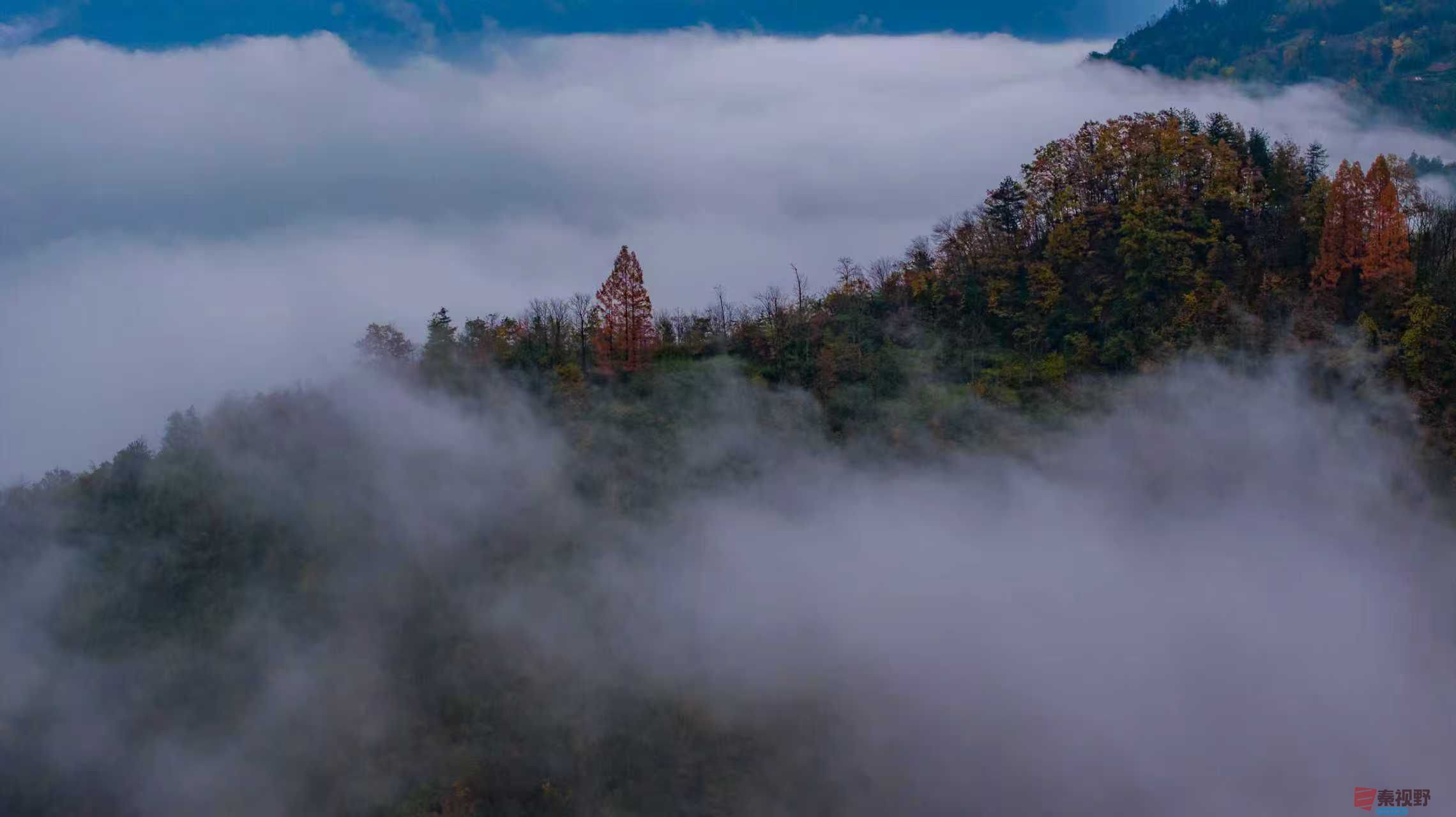 张宝光_20251122121858_2456_104 (3).jpg