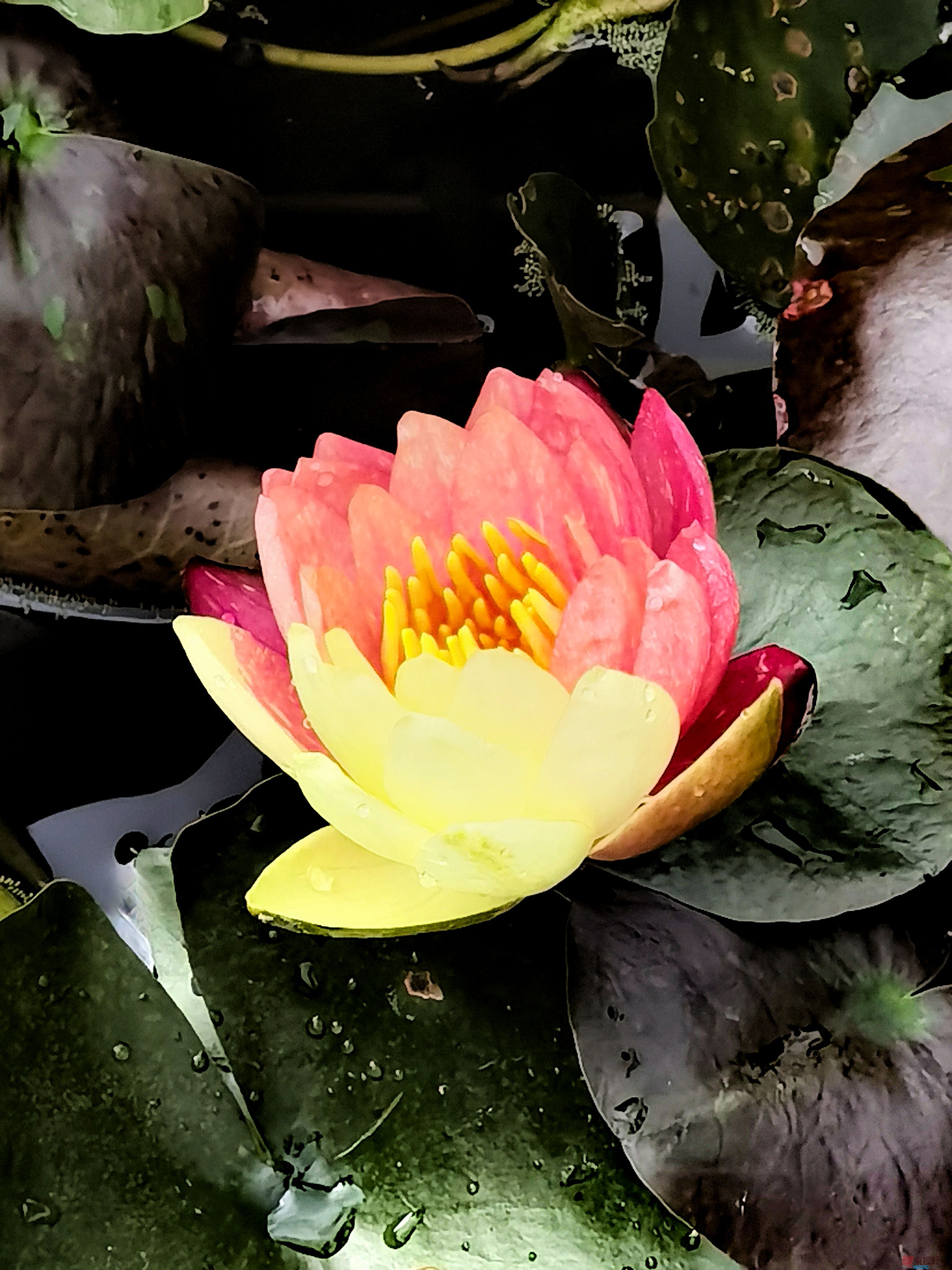 王耀林_20251123154652_2554_104 (3).jpg