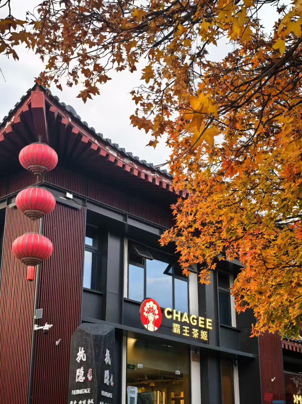 绿海雪塬_20251123183028_2564_104 (4).jpg