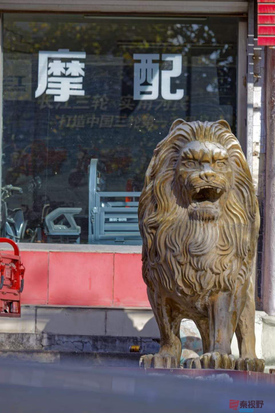 陈耀杰_2025-11-21_112356_630 (5).jpg