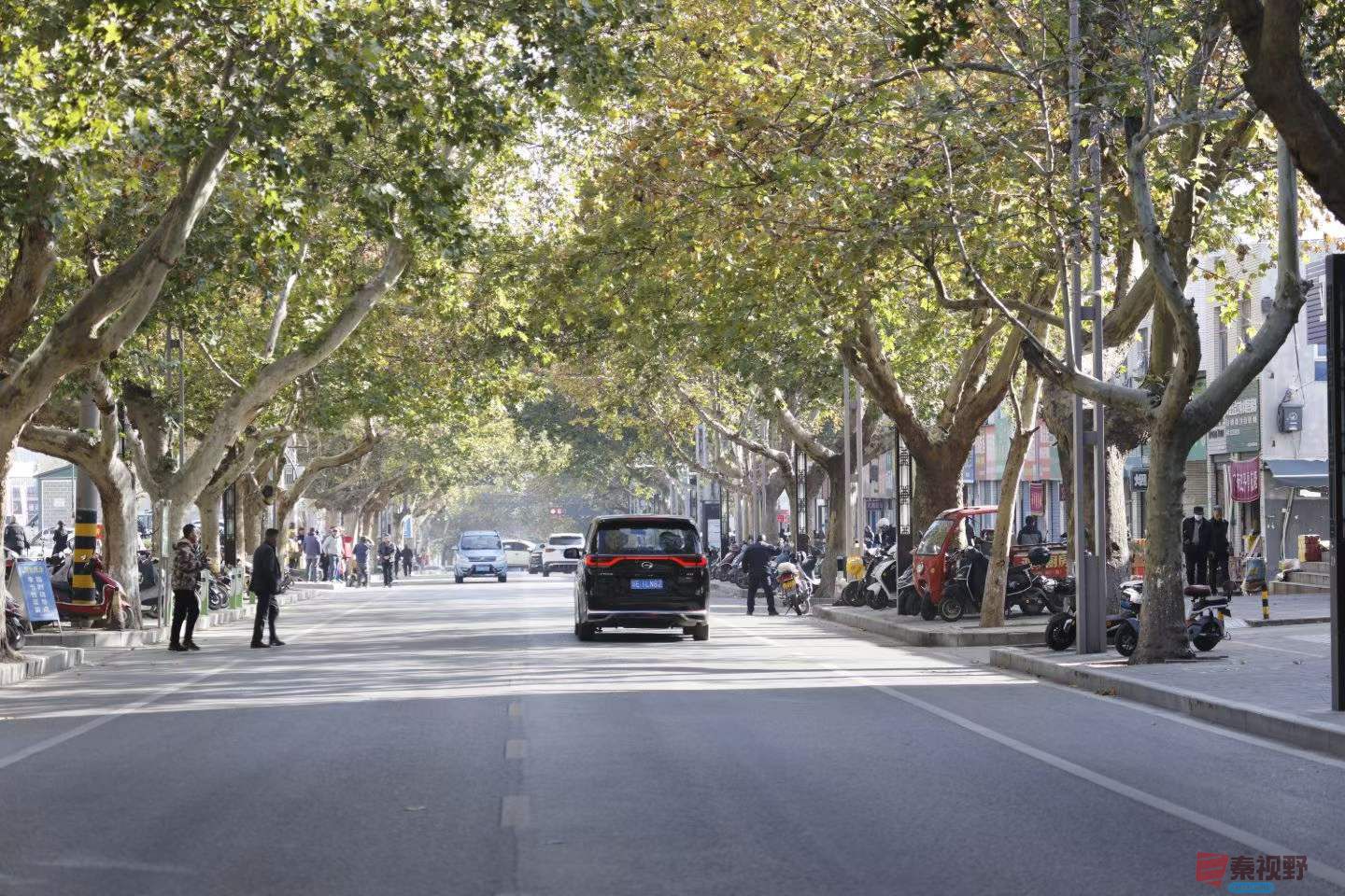 陈耀杰_2025-11-21_112356_630 (6).jpg