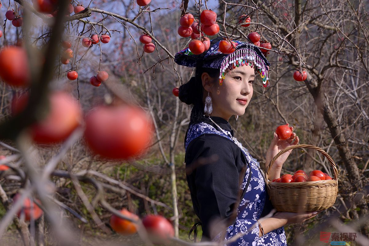 赵建华_20251124031630_3664_463 (4).jpg