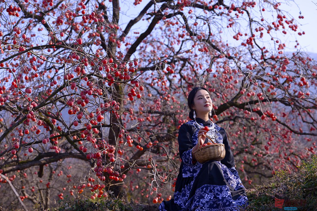 赵建华_20251124031630_3664_463 (13).jpg