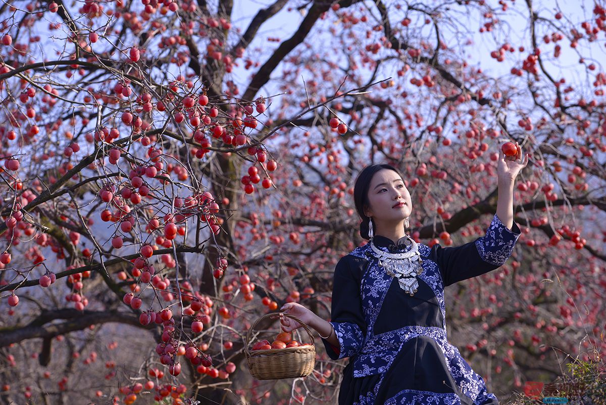 赵建华_20251124031630_3664_463 (14).jpg