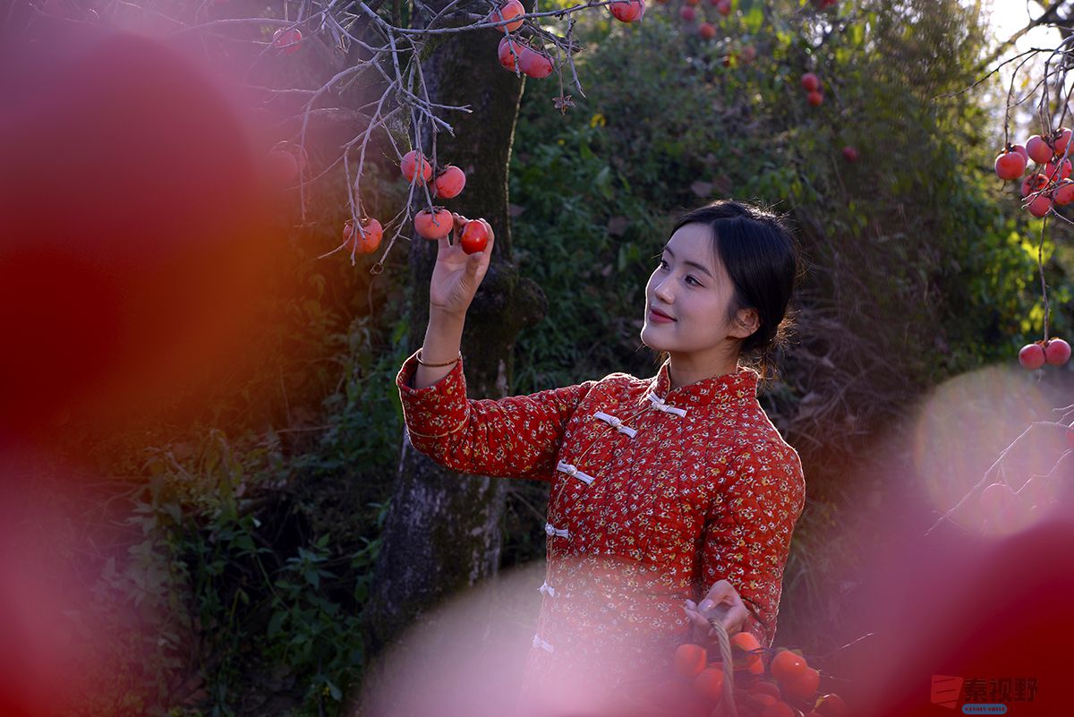 赵建华_20251124031630_3664_463 (24).jpg