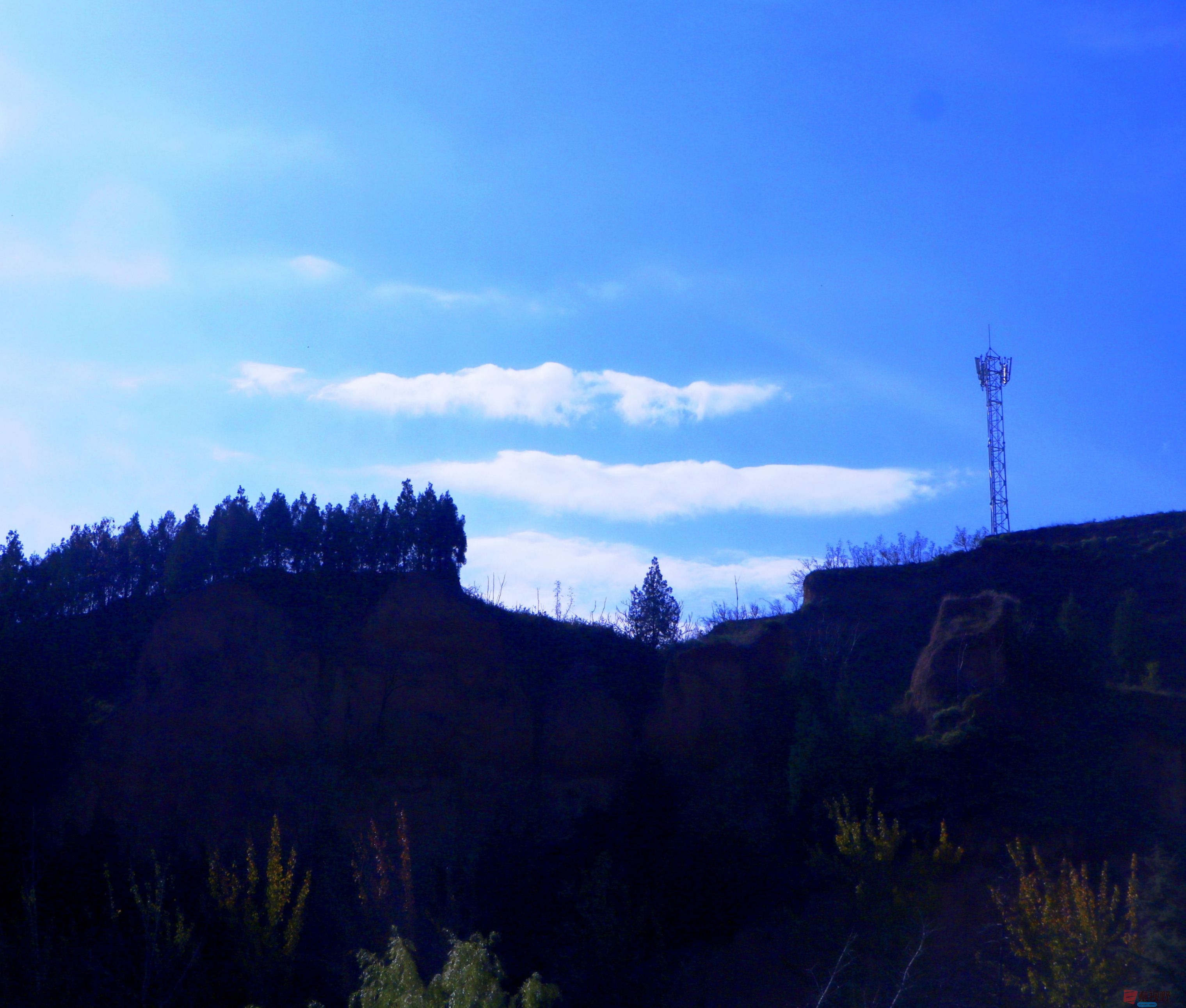 王顺利_20251124132232_3716_463 (1).jpg