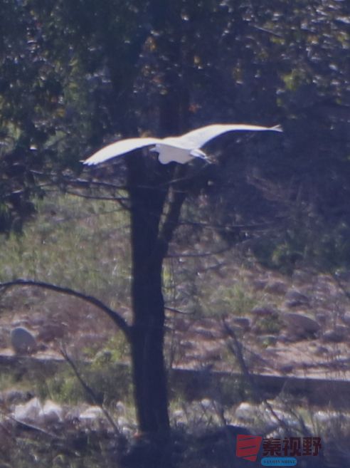 王顺利_20251124132232_3716_463 (5).jpg