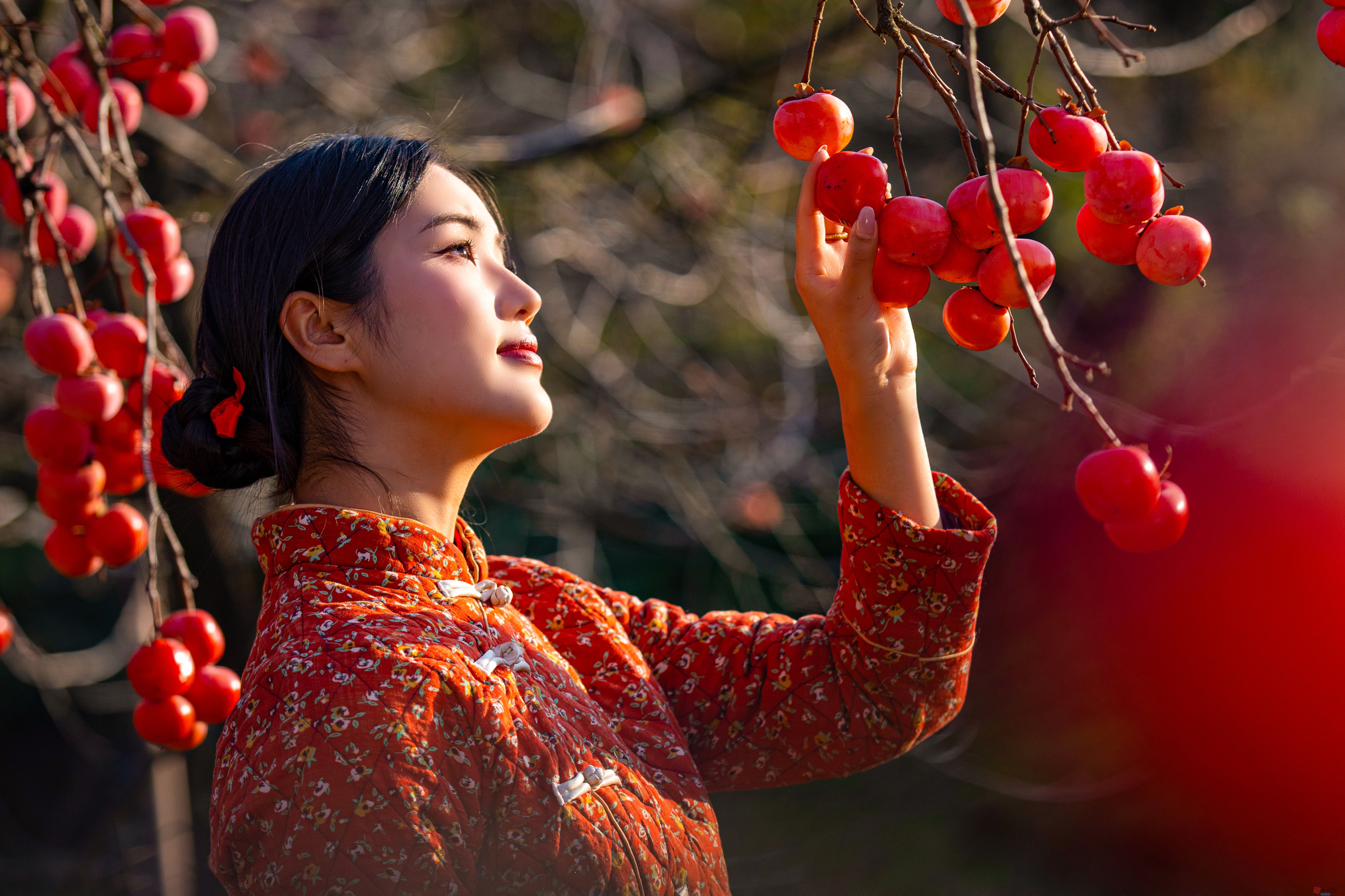 <strong>红肥绿瘦秋意浓   婀娜多姿赛天仙【摄影张宝光】</strong>