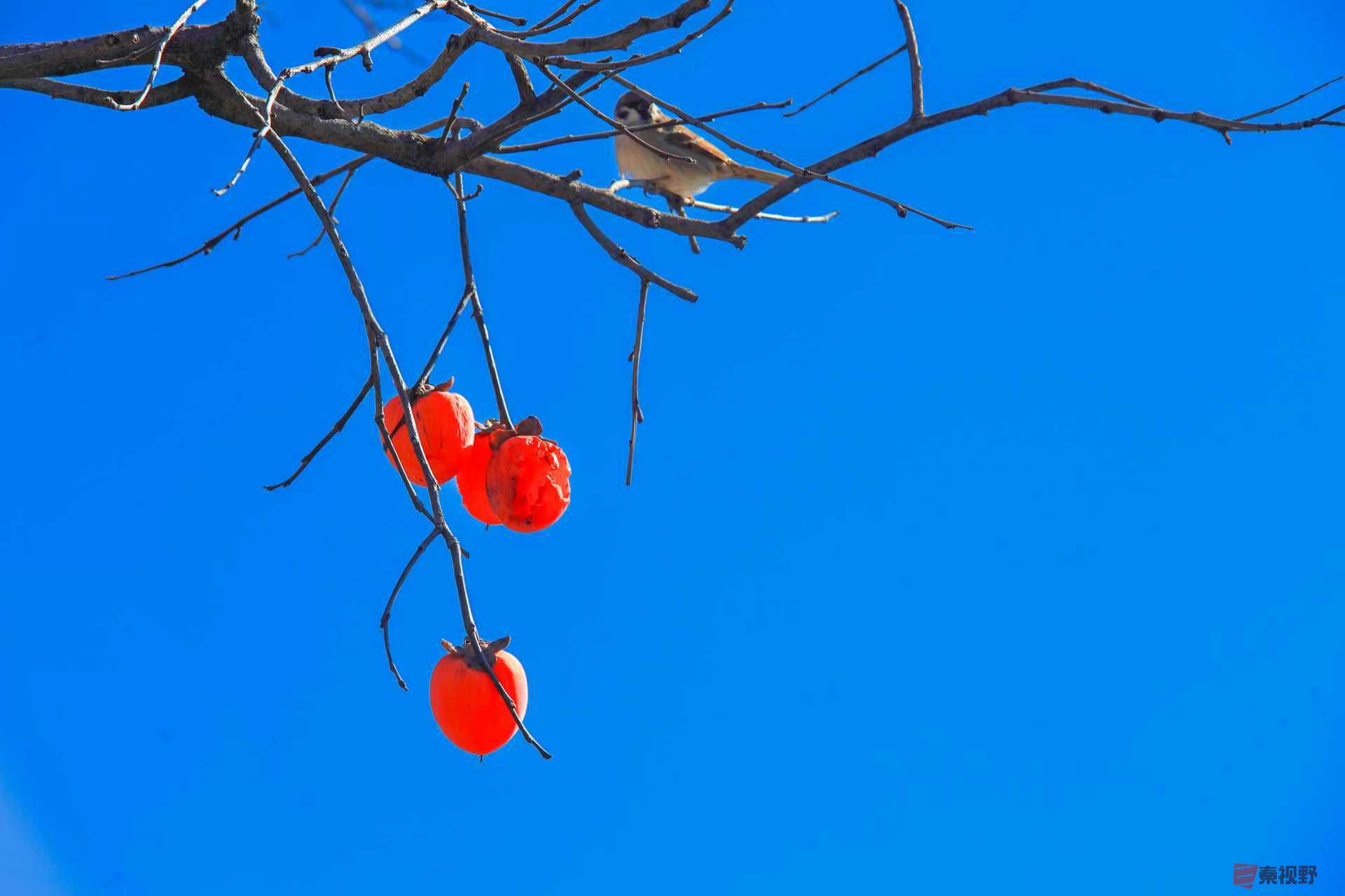 陈耀杰_20251120132032_3543_463 (3).jpg