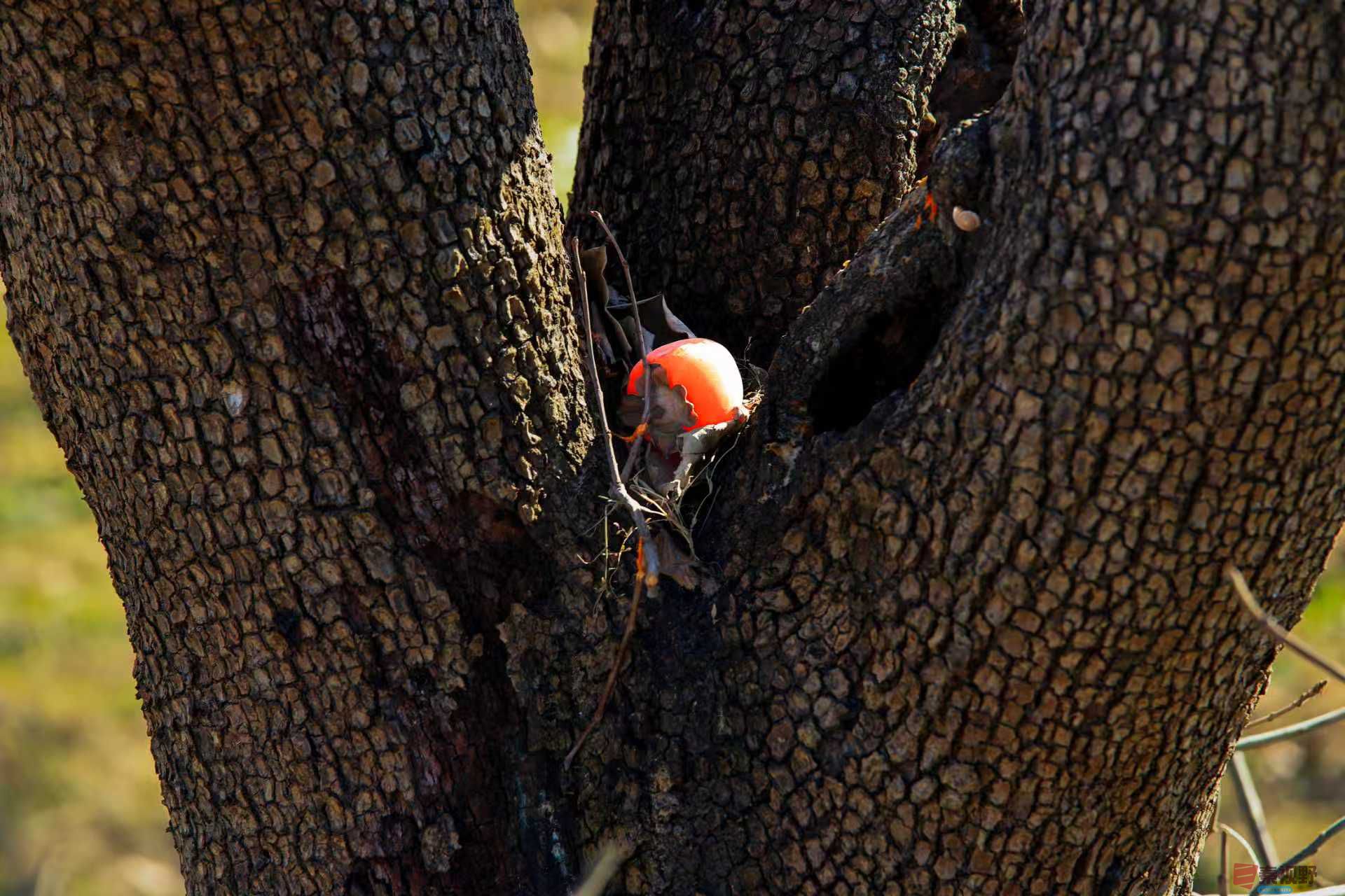 陈耀杰_20251120132032_3543_463 (4).jpg