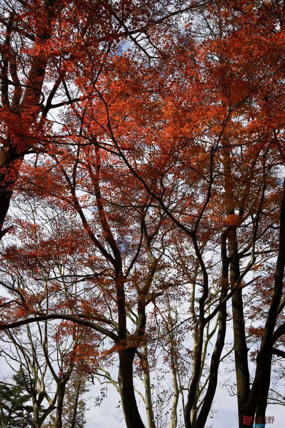 张巧玲_2025-11-24_211838_435 (3).jpg