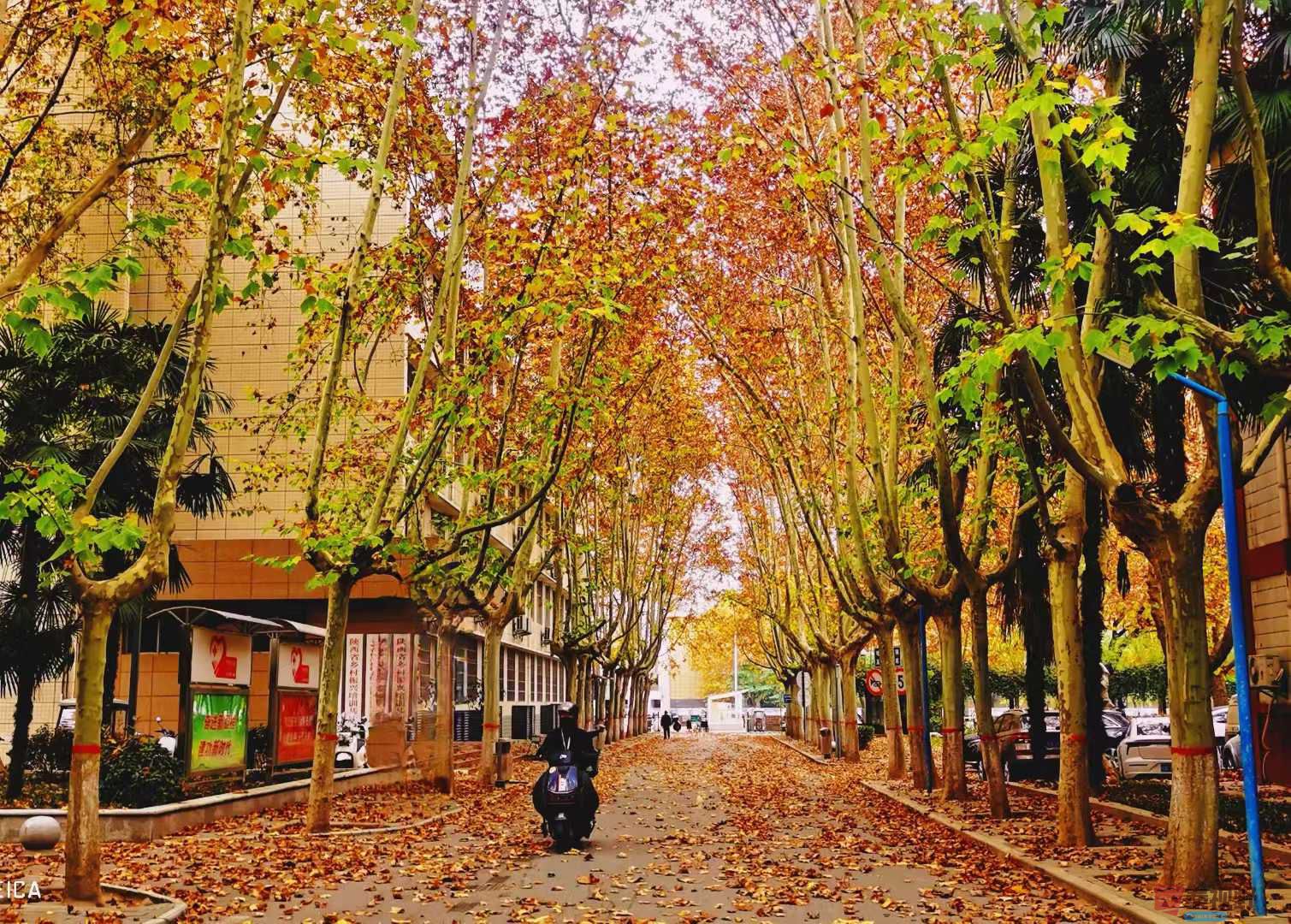 张高翔_2025-11-24_220144_868 (1).jpg