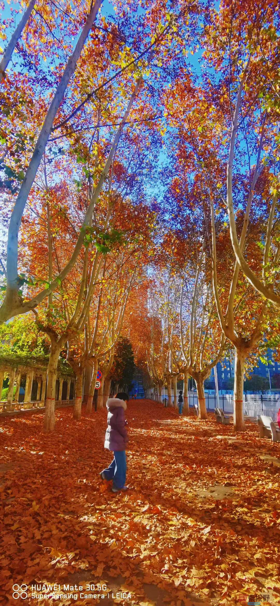 张高翔_2025-11-24_220144_868 (5).jpg