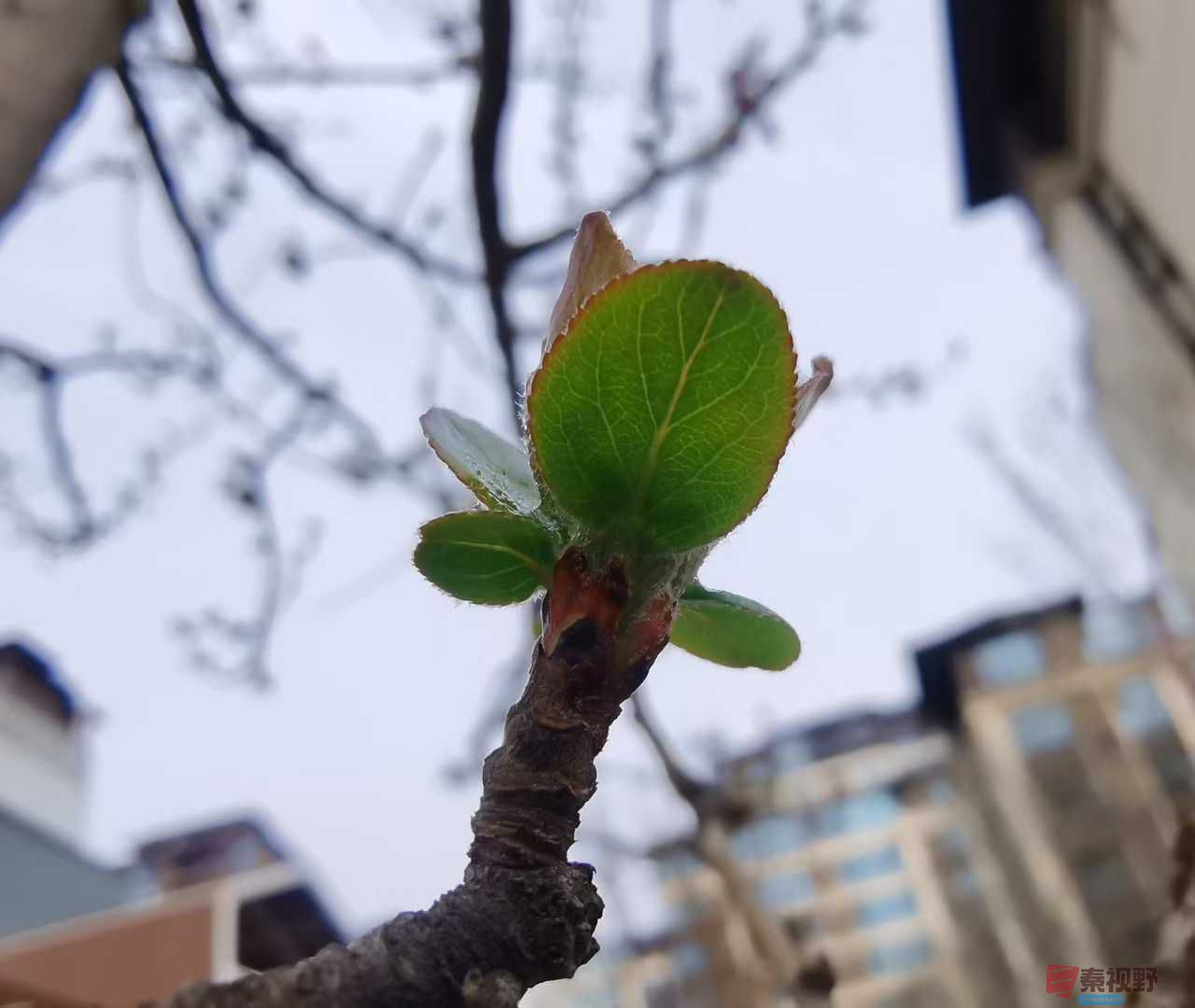 贺承军_2025-11-25_123450_133 (2).jpg