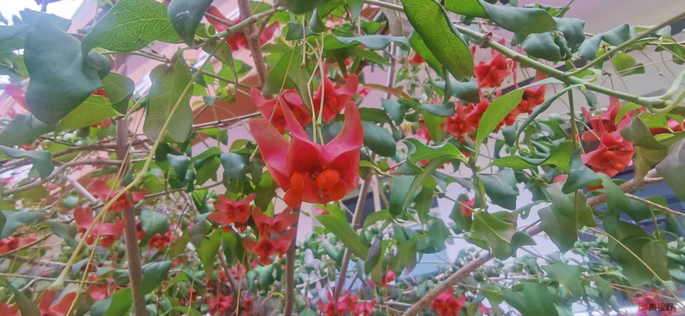 贺承军_2025-11-25_123450_133 (1).jpg