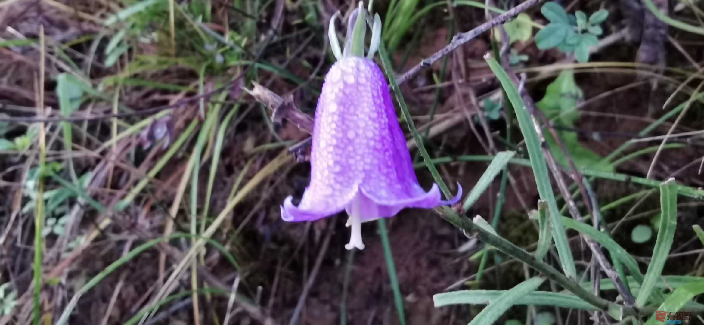 贺承军_2025-11-25_123450_133 (7).jpg