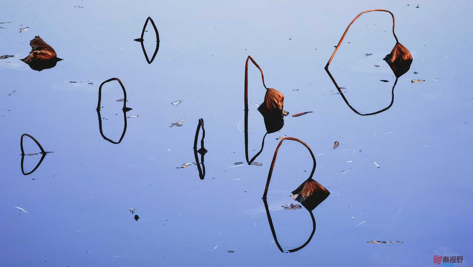 马世国_2025-11-24_223735_362 (1).jpg