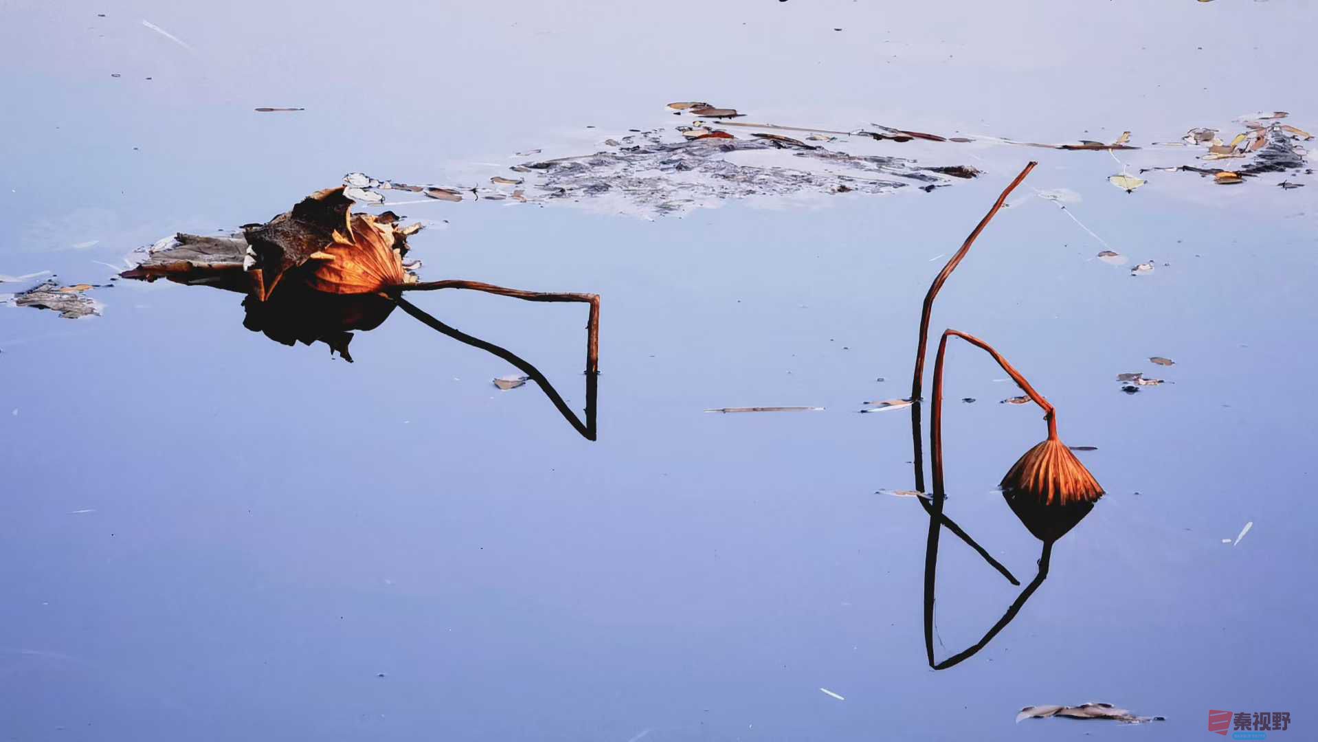 马世国_2025-11-24_223735_362 (4).jpg