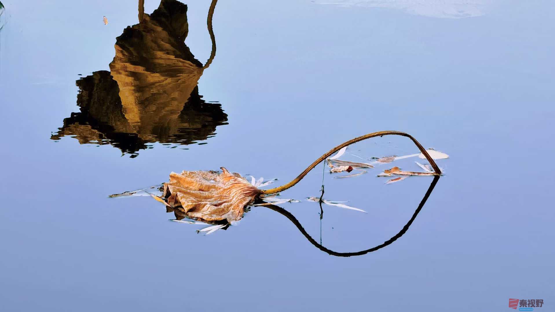 马世国_2025-11-24_223735_362 (9).jpg